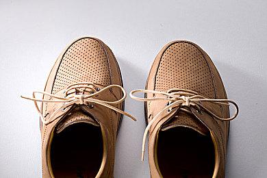 《宝可梦：朱＆紫》新事件启动 最强甲贺忍蛙袭来